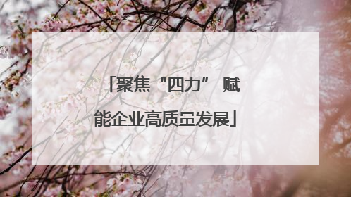 聚焦“四力” 赋能企业高质量发展