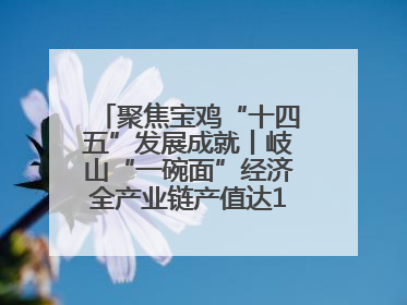 聚焦宝鸡“十四五”发展成就丨岐山“一碗面”经济全产业链产值达162亿元 入选全国典型县
