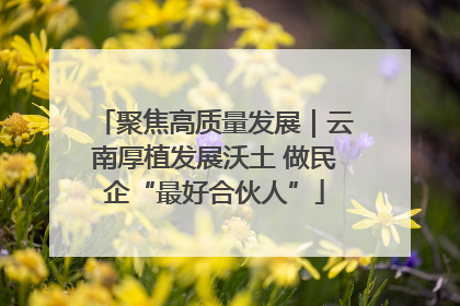 聚焦高质量发展｜云南厚植发展沃土 做民企“最好合伙人”