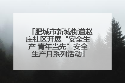 肥城市新城街道赵庄社区开展“安全生产 青年当先”安全生产月系列活动