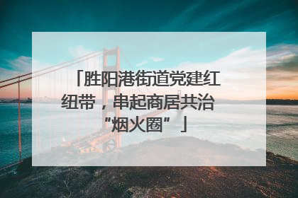 胜阳港街道党建红纽带，串起商居共治 “烟火圈”
