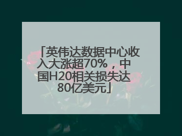 英伟达数据中心收入大涨超70%，中国H20相关损失达80亿美元