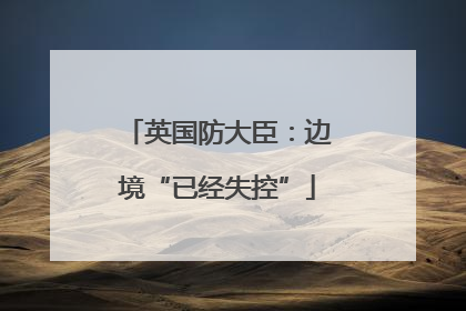 英国防大臣：边境“已经失控”