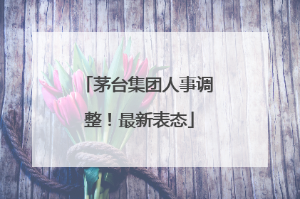 茅台集团人事调整！最新表态