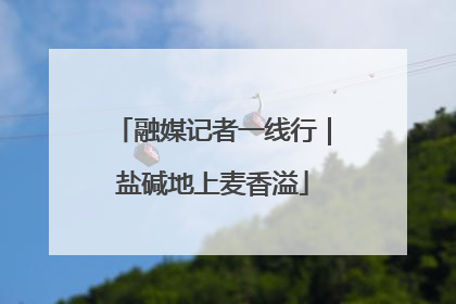 融媒记者一线行｜盐碱地上麦香溢