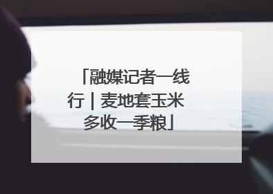 融媒记者一线行｜麦地套玉米 多收一季粮