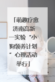 萌趣疗愈 济南高新一实验“小狗领养计划”心理活动举行