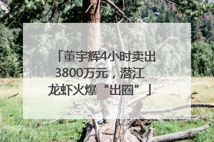 董宇辉4小时卖出3800万元，潜江龙虾火爆“出圈”