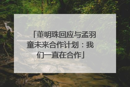 董明珠回应与孟羽童未来合作计划：我们一直在合作