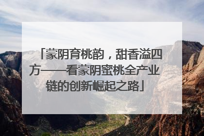 蒙阴育桃韵，甜香溢四方——看蒙阴蜜桃全产业链的创新崛起之路
