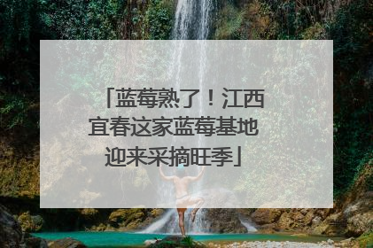 蓝莓熟了！江西宜春这家蓝莓基地迎来采摘旺季