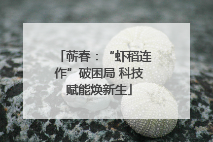蕲春：“虾稻连作”破困局 科技赋能焕新生