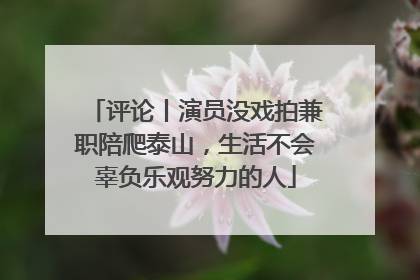 评论丨演员没戏拍兼职陪爬泰山，生活不会辜负乐观努力的人