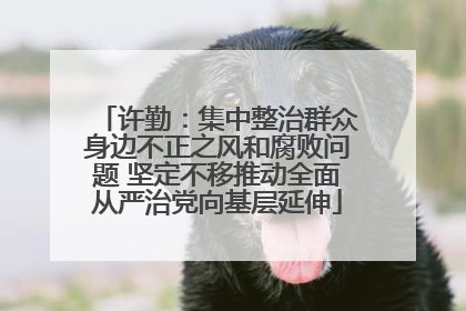 许勤：集中整治群众身边不正之风和腐败问题 坚定不移推动全面从严治党向基层延伸