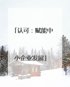 认可：赋能中小企业发展