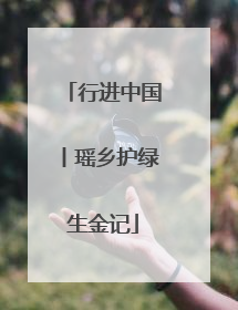 行进中国丨瑶乡护绿生金记