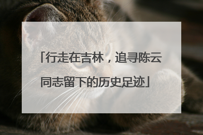 行走在吉林，追寻陈云同志留下的历史足迹