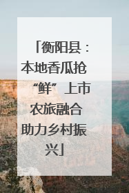 衡阳县：本地香瓜抢“鲜”上市 农旅融合助力乡村振兴