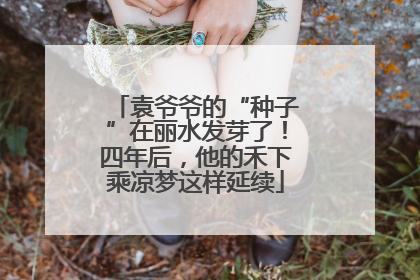 袁爷爷的“种子”在丽水发芽了！四年后，他的禾下乘凉梦这样延续