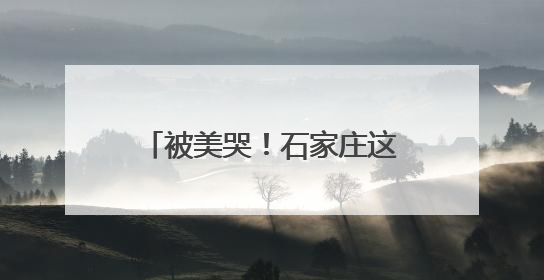 被美哭！石家庄这面花墙藏不住了
