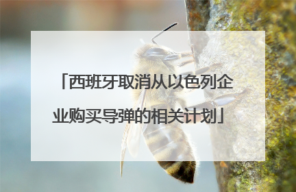 西班牙取消从以色列企业购买导弹的相关计划