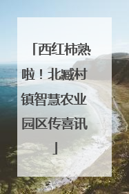 西红柿熟啦！北臧村镇智慧农业园区传喜讯