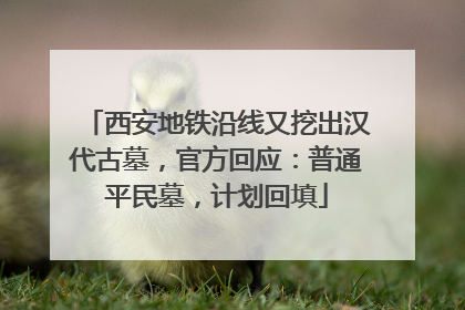 西安地铁沿线又挖出汉代古墓，官方回应：普通平民墓，计划回填