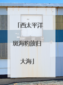 西太平洋斑海豹放归大海