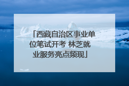 西藏自治区事业单位笔试开考 林芝就业服务亮点频现
