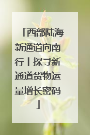 西部陆海新通道向南行丨探寻新通道货物运量增长密码