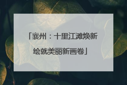 襄州：十里江滩焕新 绘就美丽新画卷