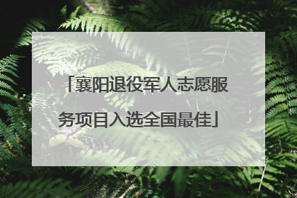 襄阳退役军人志愿服务项目入选全国最佳