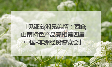 见证藏湘兄弟情：西藏山南特色产品亮相第四届中国-非洲经贸博览会