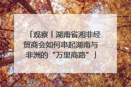 观察丨湖南省湘非经贸商会如何串起湖南与非洲的“万里商路”