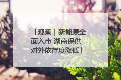观察｜新能源全面入市 湖南保供对外依存度降低