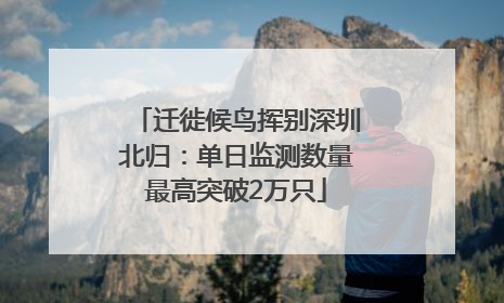 迁徙候鸟挥别深圳北归：单日监测数量最高突破2万只