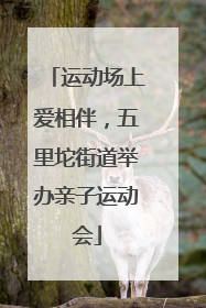 运动场上爱相伴，五里坨街道举办亲子运动会
