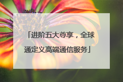 进阶五大尊享，全球通定义高端通信服务