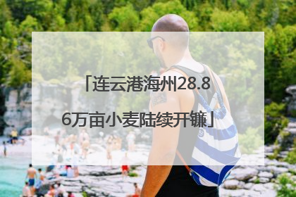 连云港海州28.86万亩小麦陆续开镰
