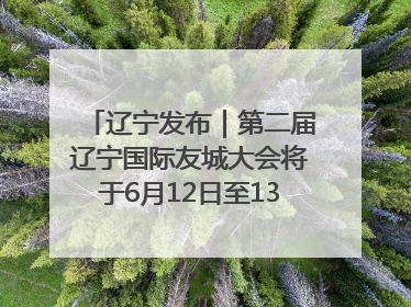 辽宁发布｜第二届辽宁国际友城大会将于6月12日至13日在沈阳举办