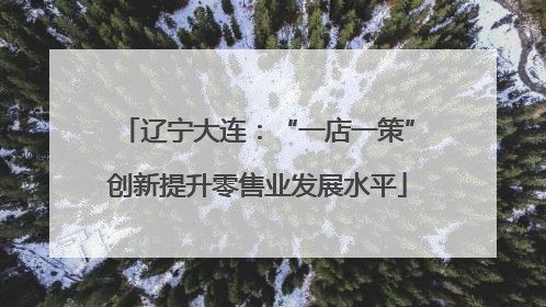 辽宁大连：“一店一策”创新提升零售业发展水平