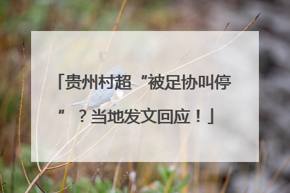贵州村超“被足协叫停”？当地发文回应！