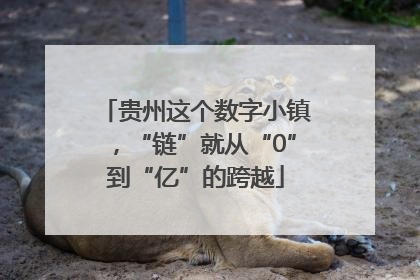 贵州这个数字小镇，“链”就从“0”到“亿”的跨越