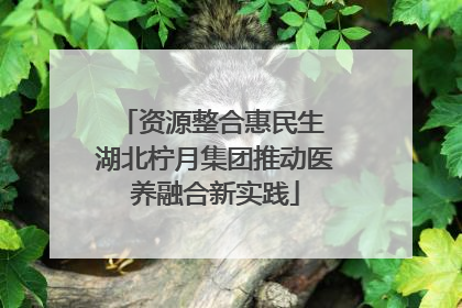 资源整合惠民生 湖北柠月集团推动医养融合新实践