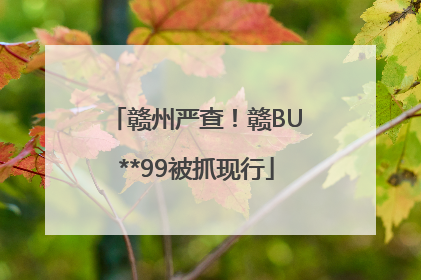 赣州严查！赣BU**99被抓现行