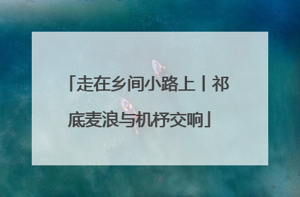 走在乡间小路上丨祁底麦浪与机杼交响