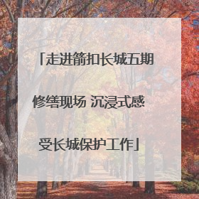 走进箭扣长城五期修缮现场 沉浸式感受长城保护工作
