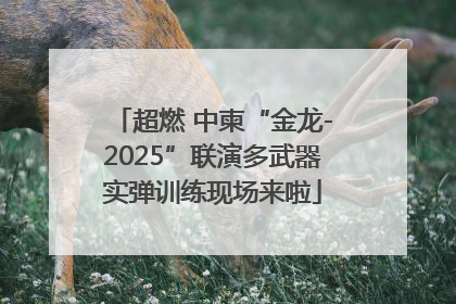 超燃 中柬“金龙-2025”联演多武器实弹训练现场来啦