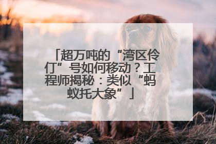 超万吨的“湾区伶仃”号如何移动？工程师揭秘：类似“蚂蚁托大象”