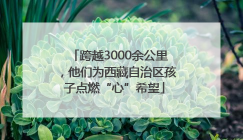 跨越3000余公里，他们为西藏自治区孩子点燃“心”希望